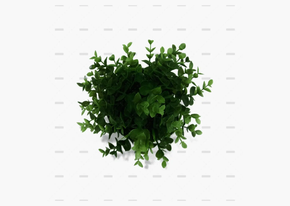 demo-attachment-667-nick-bitter-E6-kraJb7o4-unsplash-scaled